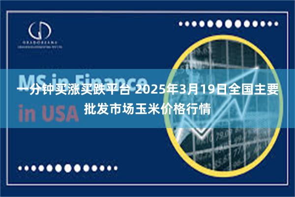 一分钟买涨买跌平台 2025年3月19日全国主要批发市场玉米价格行情