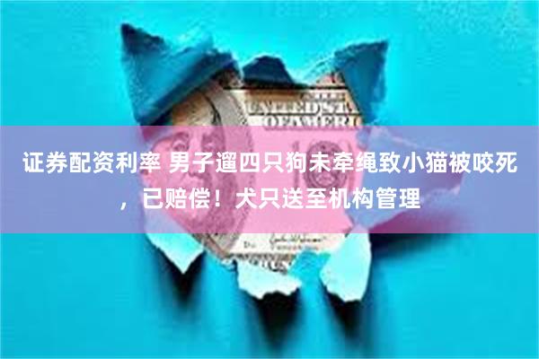 证券配资利率 男子遛四只狗未牵绳致小猫被咬死，已赔偿！犬只送至机构管理
