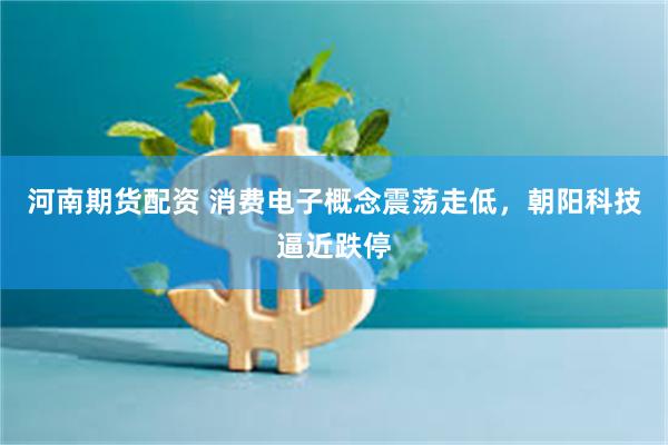 河南期货配资 消费电子概念震荡走低，朝阳科技逼近跌停