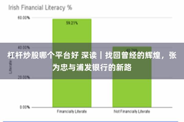 杠杆炒股哪个平台好 深读｜找回曾经的辉煌，张为忠与浦发银行的新路