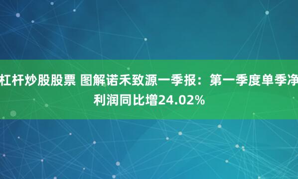杠杆炒股股票 图解诺禾致源一季报：第一季度单季净利润同比增24.02%