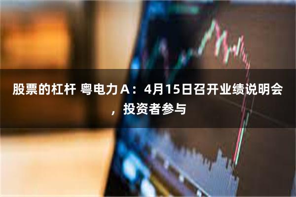 股票的杠杆 粤电力Ａ：4月15日召开业绩说明会，投资者参与
