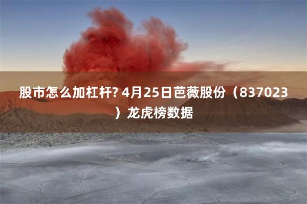 股市怎么加杠杆? 4月25日芭薇股份（837023）龙虎榜数据