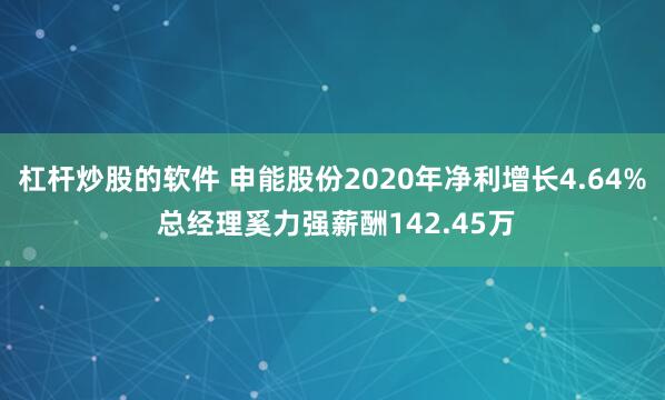 杠杆炒股的软件 申能股份2020年净利增长4.64% 总经理奚力强薪酬142.45万