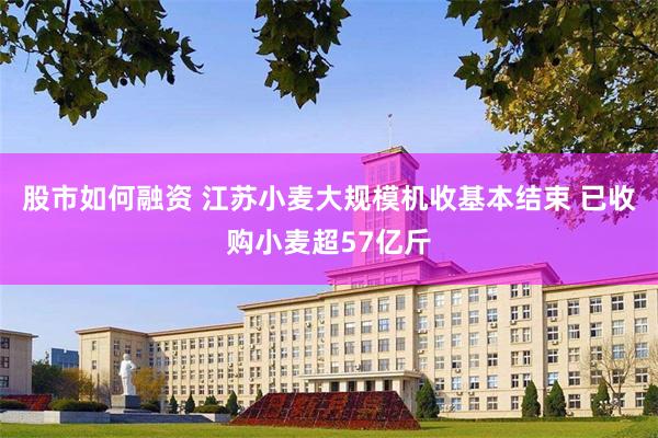股市如何融资 江苏小麦大规模机收基本结束 已收购小麦超57亿斤