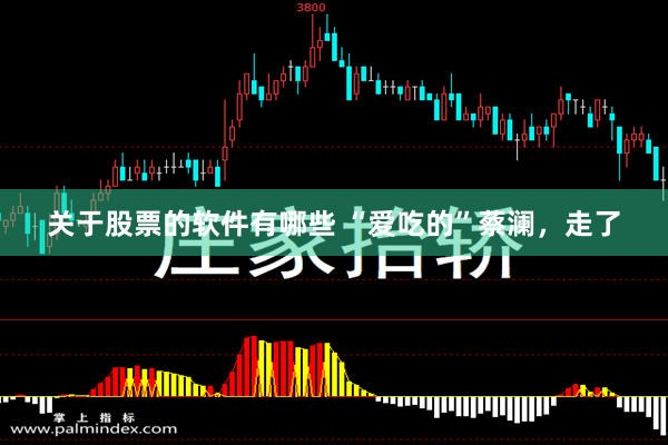 关于股票的软件有哪些 “爱吃的”蔡澜，走了